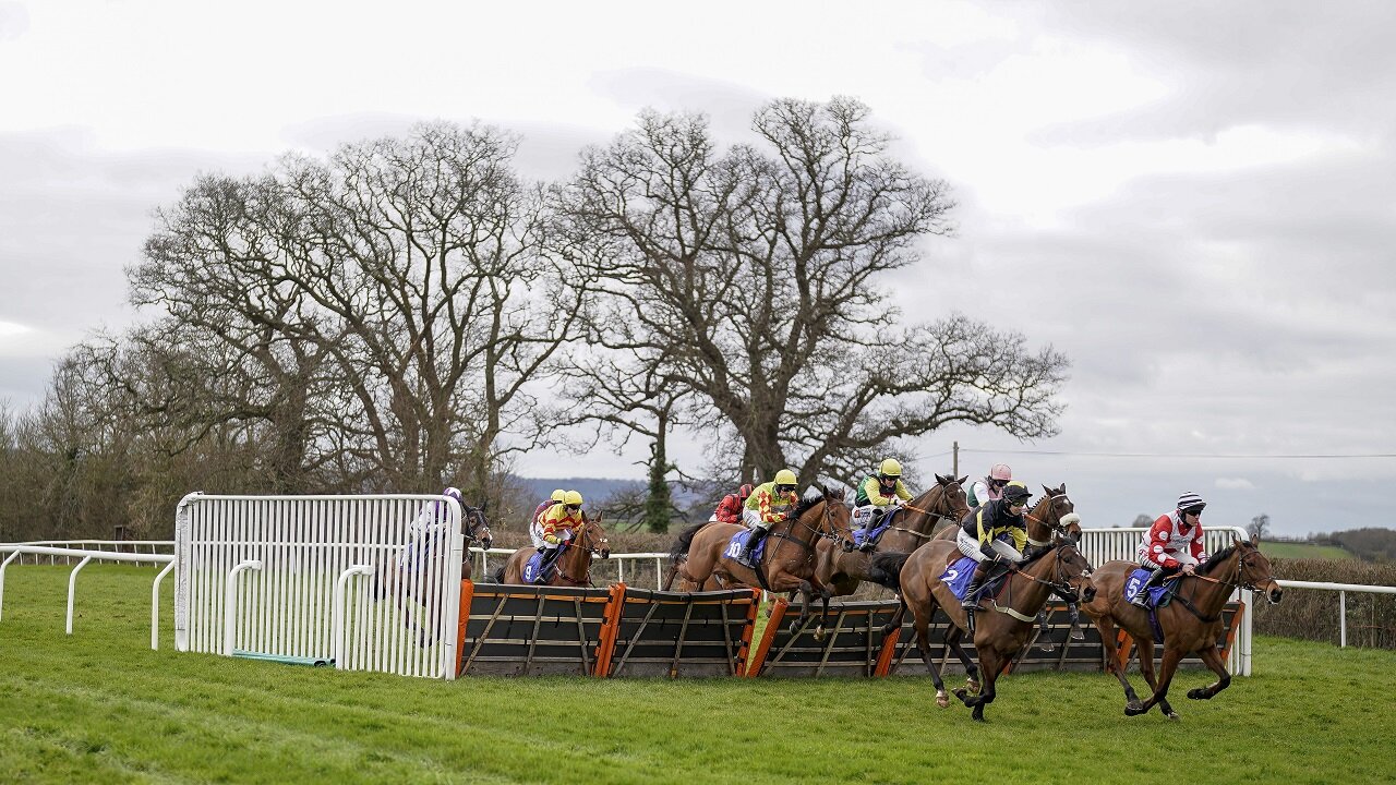 Taunton Racing Tips: Concrete King can finally open his account